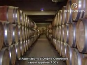 Bourgogne Vins.wmv