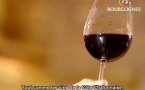 Bourgogne vins rouges