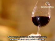 Bourgogne Vins_Rouges.wmv