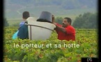 Bourgogne vendanges 1