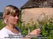 Bourgogne Vins_Blancs.wmv