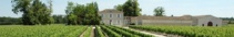 Retour chais-et-vignes