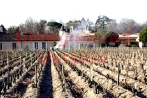 Février dans les Vignes