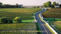 Les Crus Bourgeois - Le Classement de 1978 Les Crus Bourgeois - Le Classement de 1978