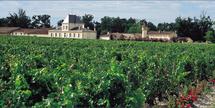 Brane Cantenac Vignes château