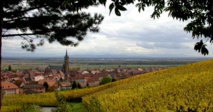 L'Alsace, son Vignoble, ses Vins.