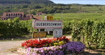 L'Alsace, son Vignoble, ses Vins.