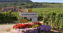L'Alsace, son Vignoble, ses Vins. L'Alsace, son Vignoble, ses Vins.