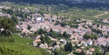 Vignoble de Cornas - Vallée du Rhône