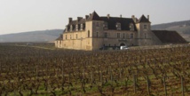 Le Millésime 2012 en Bourgogne