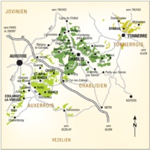 Bourgogne vins blancs: Chablis