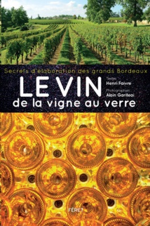 LE VIN de la vigne au verre LE VIN de la vigne au verre