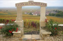 Clos des Lambrays