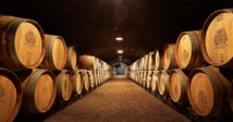 Cave à fûts Cave à fûts