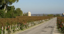 Les vins du Médoc et leur territoire