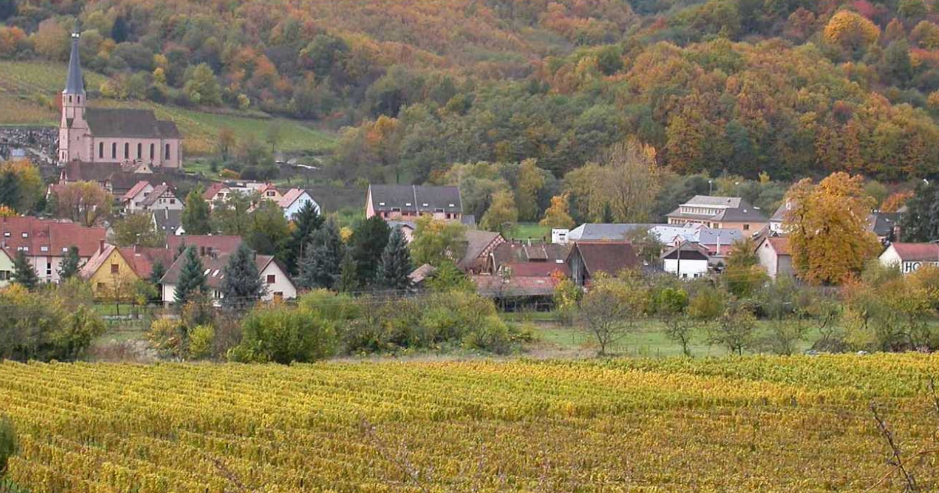 L'Alsace, son Vignoble, ses Vins.