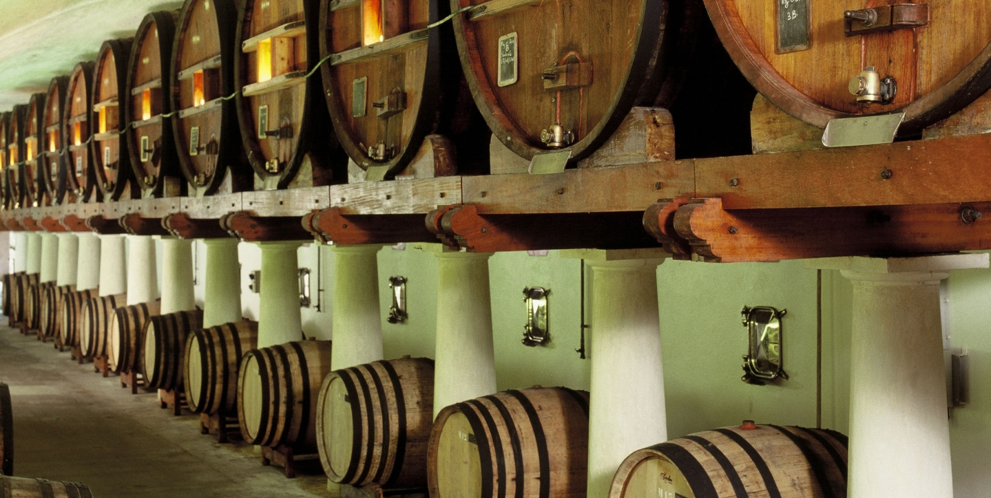 La Provence et ses vins La Provence et ses vins