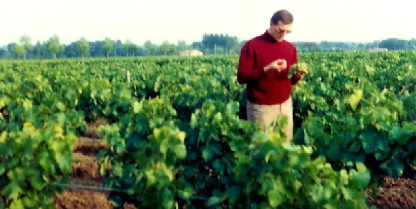 Les Années 1960 - vignobles Médoc - analyse nouvelle récolte