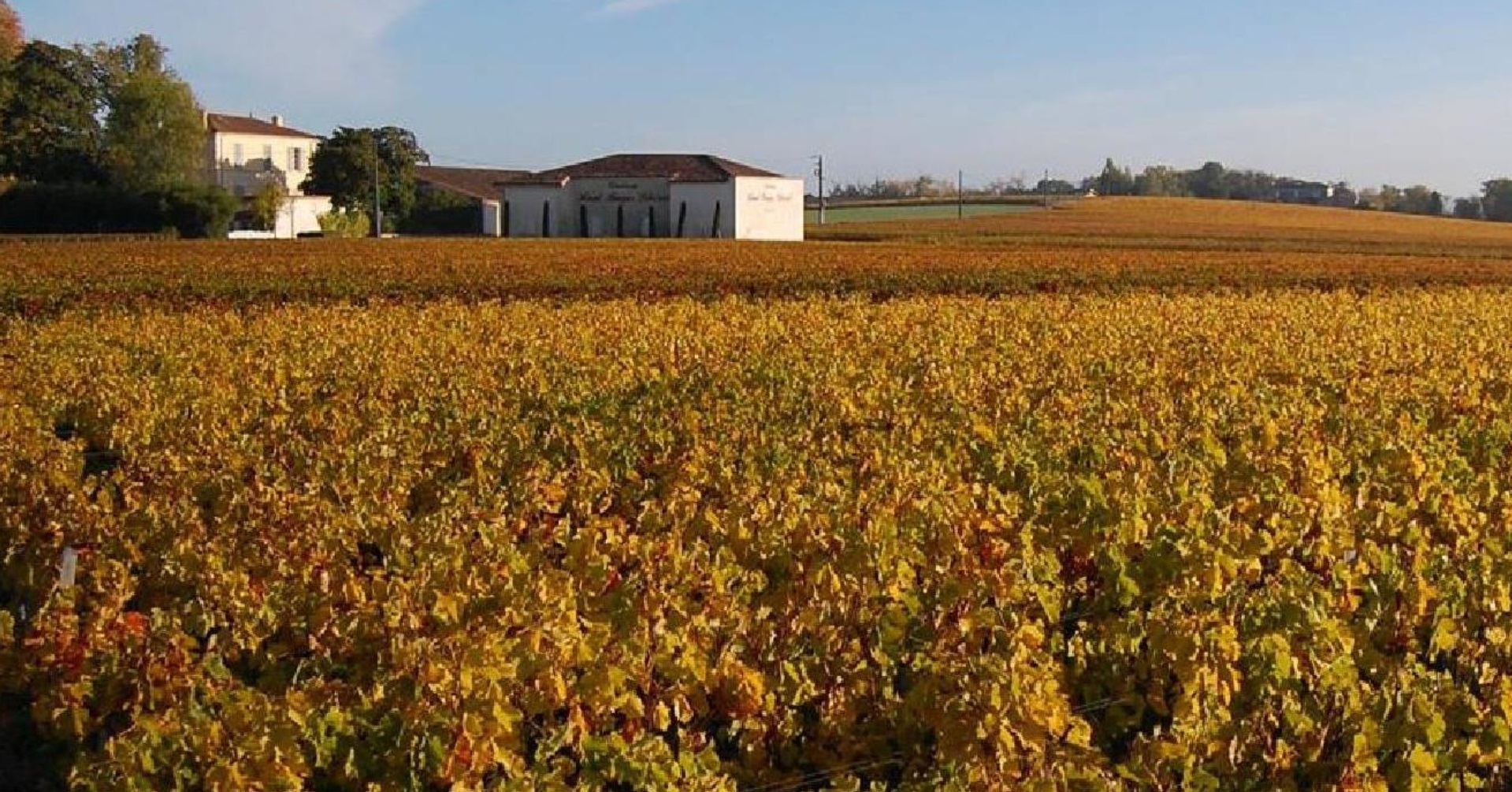 Château Haut-Bages Libéral