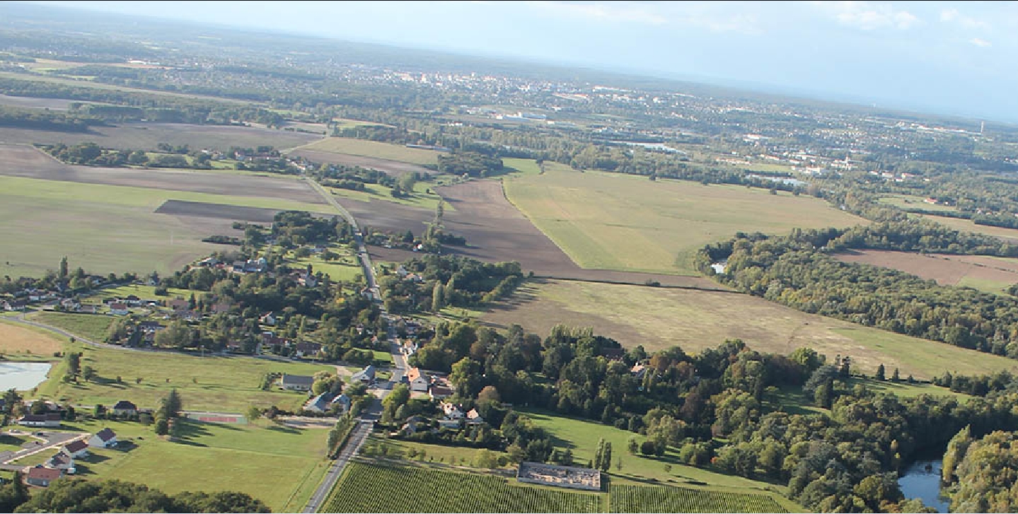 Quincy - Vin blanc sec du Centre – Loire