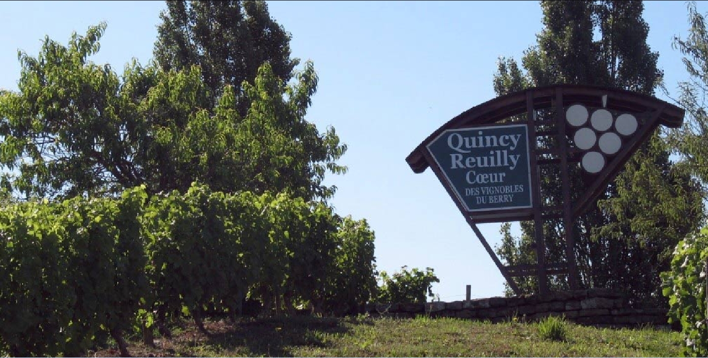 Quincy - Vin blanc sec du Centre – Loire