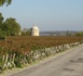 https://www.chais-et-vignes.com/Les-vins-du-Medoc-et-leur-territoire_a360.html