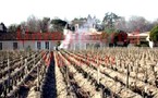 Février dans les Vignes