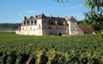 La Bourgogne Viticole