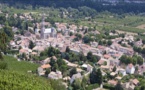 Vignoble de Cornas - Vallée du Rhône