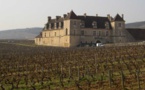 Le Millésime 2012 en Bourgogne