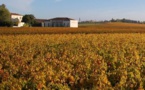 Château Haut-Bages Libéral