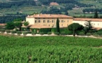 Les domaines Ott s'agrandissent  à Bandol et en Provence
