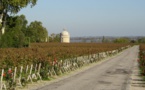 Les vins du Médoc et leur territoire