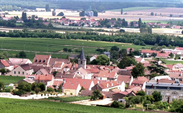 Bourgogne, 2012 s’annonce comme une valeur sûre.
