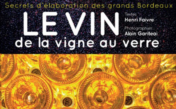  LE VIN de la vigne au verre