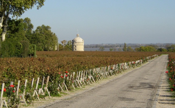 Les vins du Médoc et leur territoire