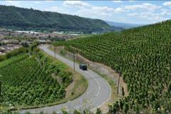 Côte Rôtie domaine Jamet G