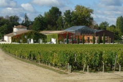 Haut-Bages Libéral domaine 1