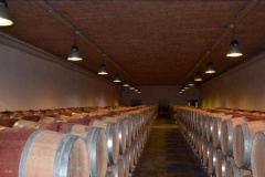 Haut-Bages Libéral chai barriques 1