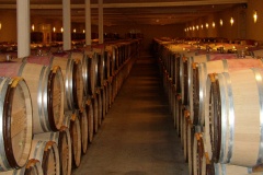 Poujeaux chai barriques