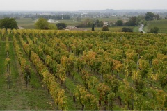 St.Emilion vue depuis Pl.Eglise