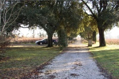 Monbrison Domaine Vignes