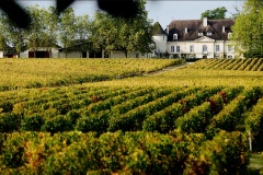 Château Bouscaut et vignoble