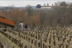 Haut-Marbuzet Plantation G