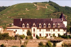 Ampuis vignes château 