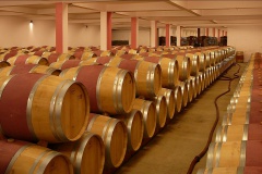 Chasse-Spleen chai barriques SG