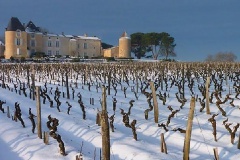 Chateau Yquem neige G