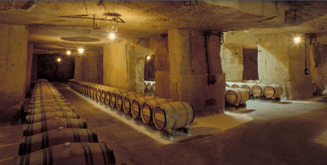 Ausone cave barriques g.jpg