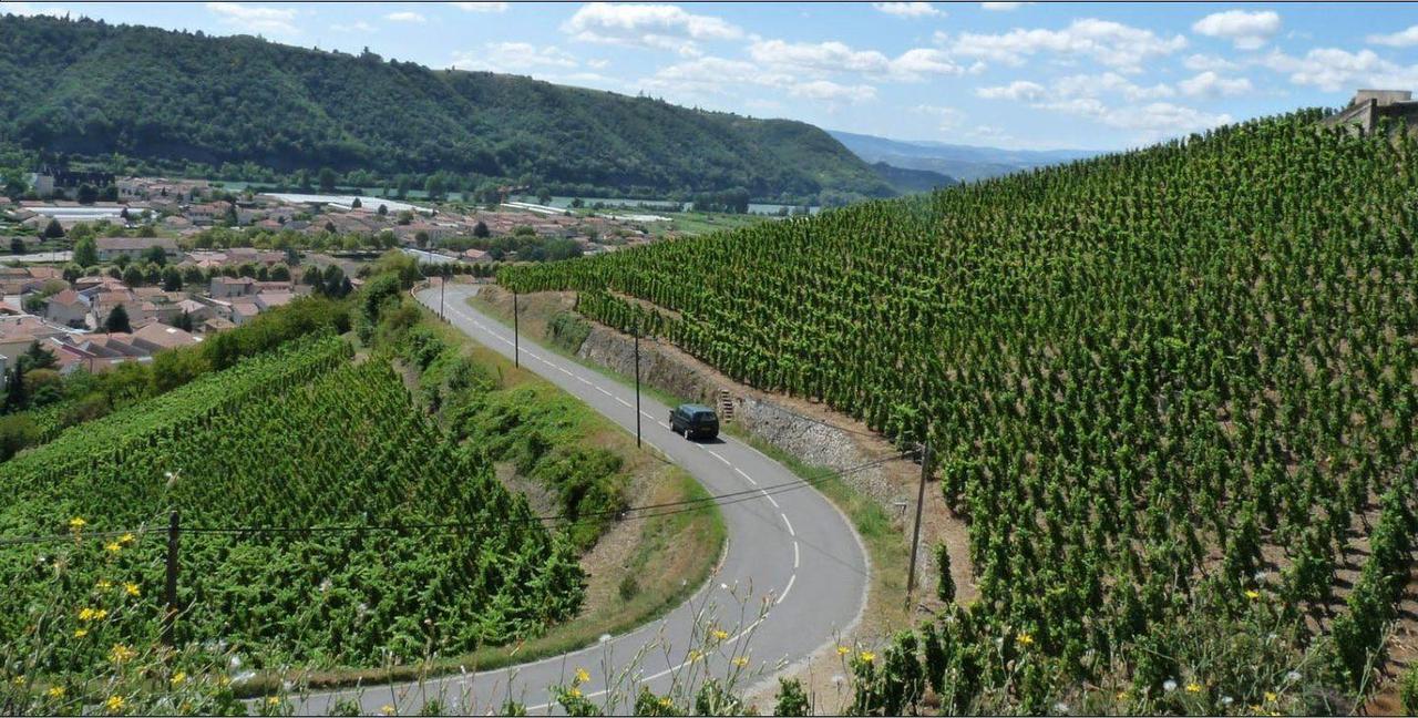 Côte Rôtie domaine Jamet G
