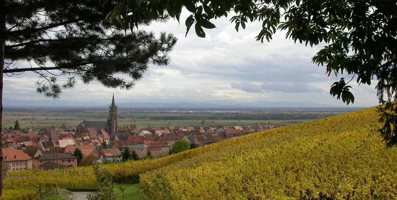 Alsace Dambach la Ville APG